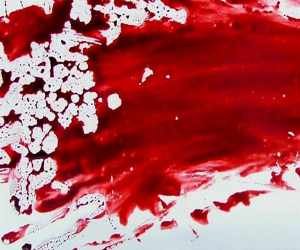 توطئه مرد دو زنه