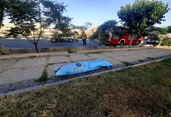 قتل یک بازیگر 23 ساله در شالیزار