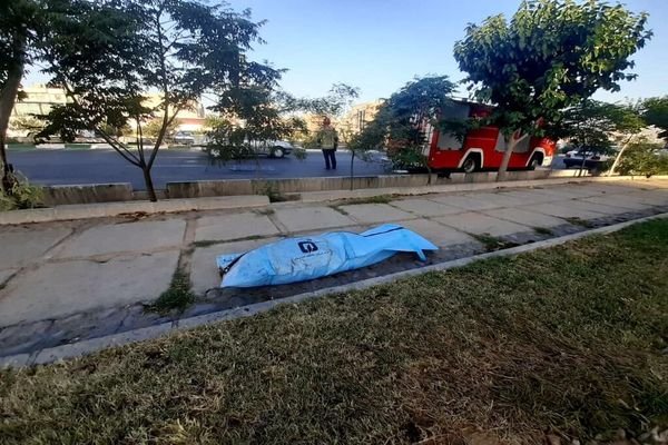 قتل یک بازیگر 23 ساله در شالیزار