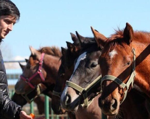تایید ماجرای خبر ساز ، دوپینگ اسب های آزمون مثبت شد