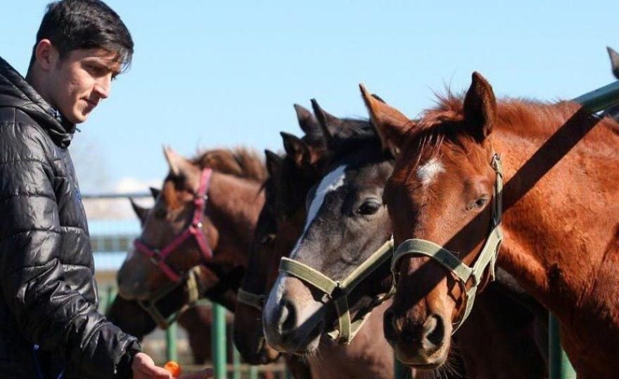 تایید ماجرای خبر ساز ، دوپینگ اسب های آزمون مثبت شد