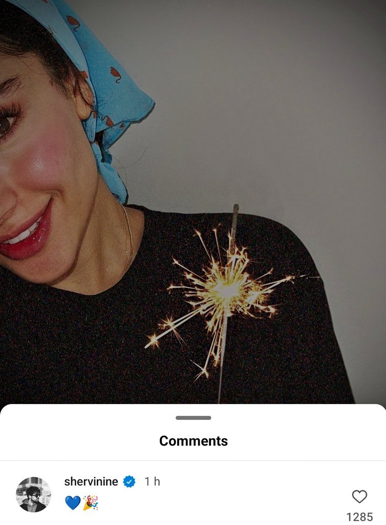 کامنت عاشقانه شروین حاجی‌پور برای ترلان پروانه