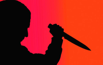 صاحب خانه دزد را با 11 ضربه چاقو کشت